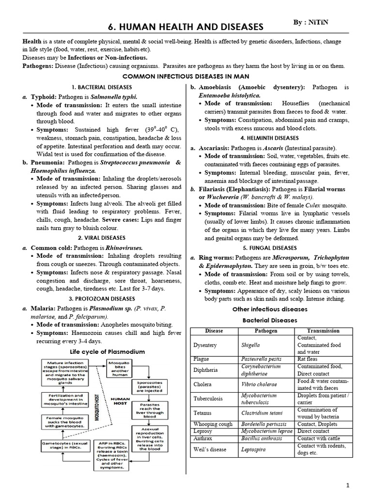 Chapter 7 Human Health Disease | PDF | Lymphocyte | Immune System