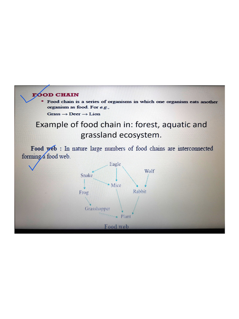 Ch-13.2-Food Chain N Trophic Level | PDF