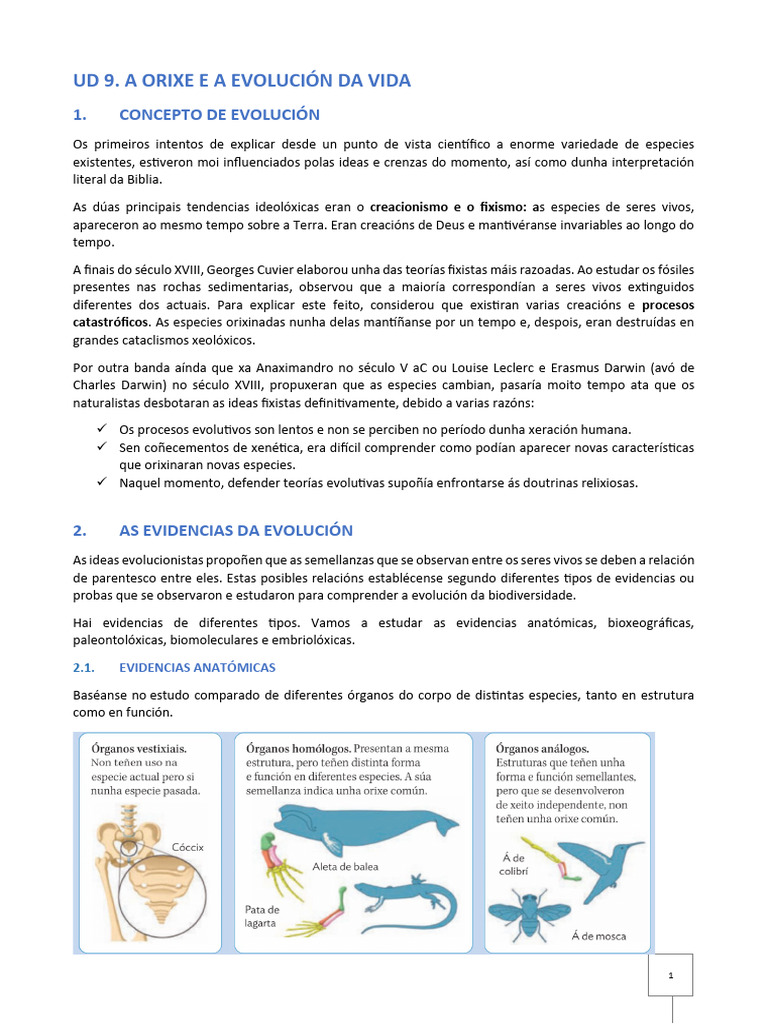 UD 9. A Orixe e A Evolución Da Vida | PDF
