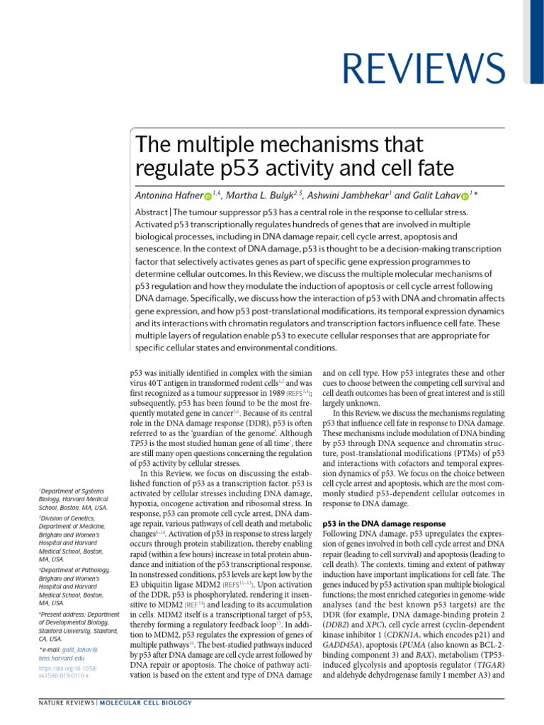 p53 Regulation in DNA Damage Response | PDF | P53 | Dna Repair