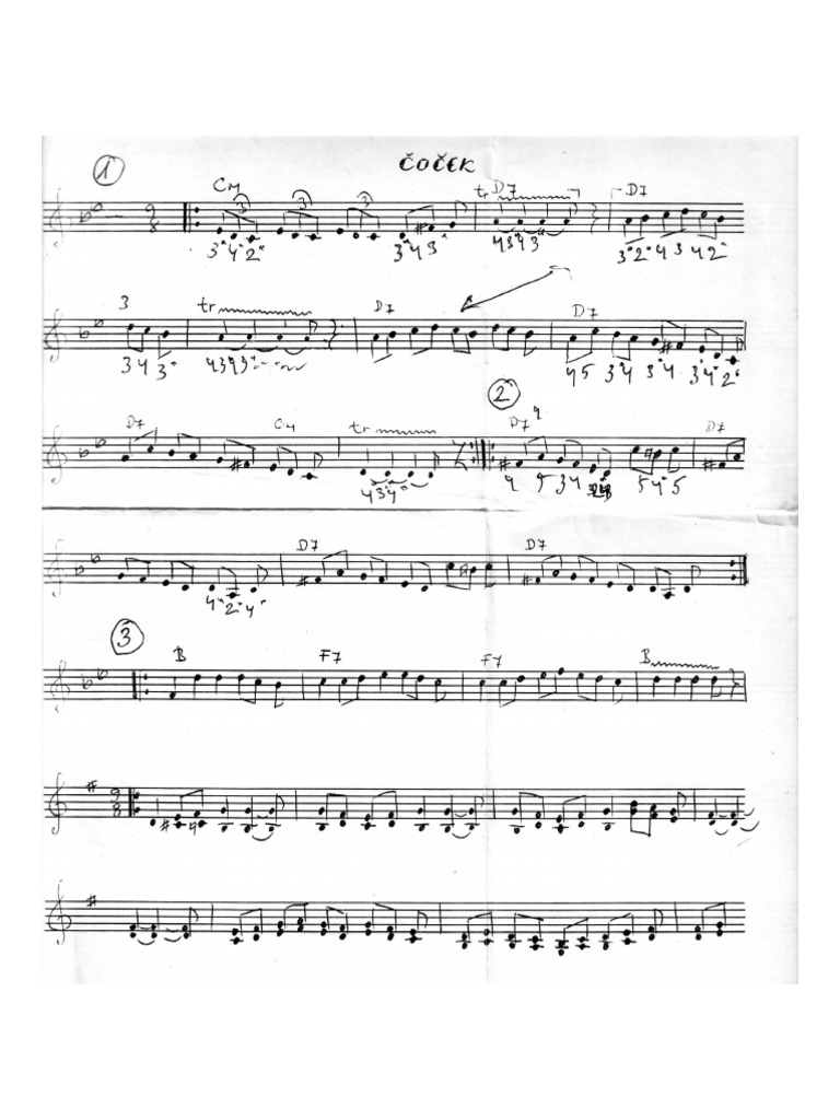 Cocek | PDF