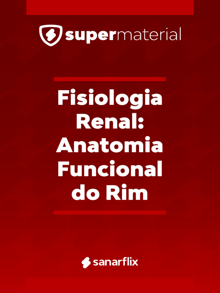 Fisiologia Renal: Estrutura e Função dos Rins | PDF | Rim