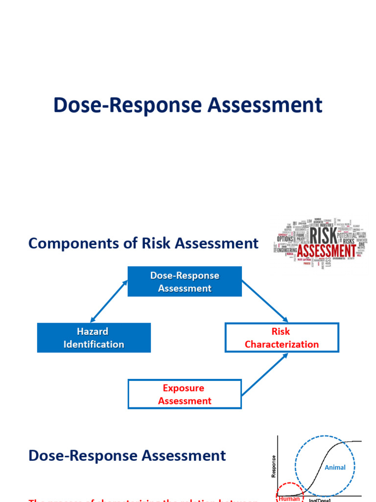 2018 Risk Assessment - DR | PDF | Toxicology | Medical Specialties