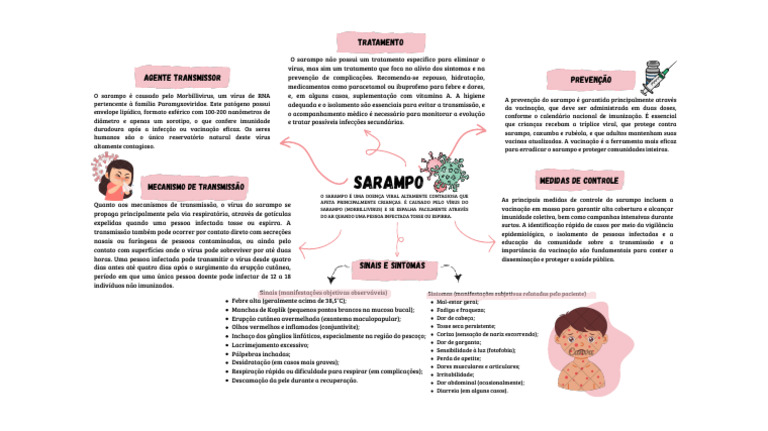 Entenda o Sarampo: Sintomas e Prevenção | PDF | Sarampo | Vírus