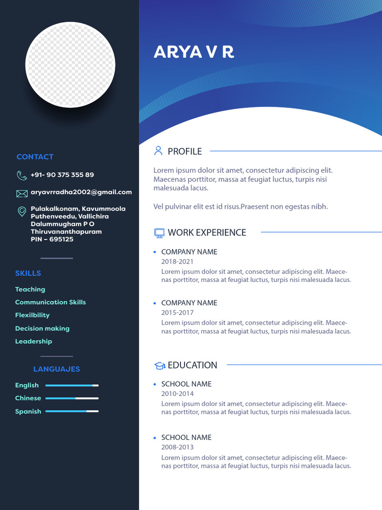 Arya CV | PDF