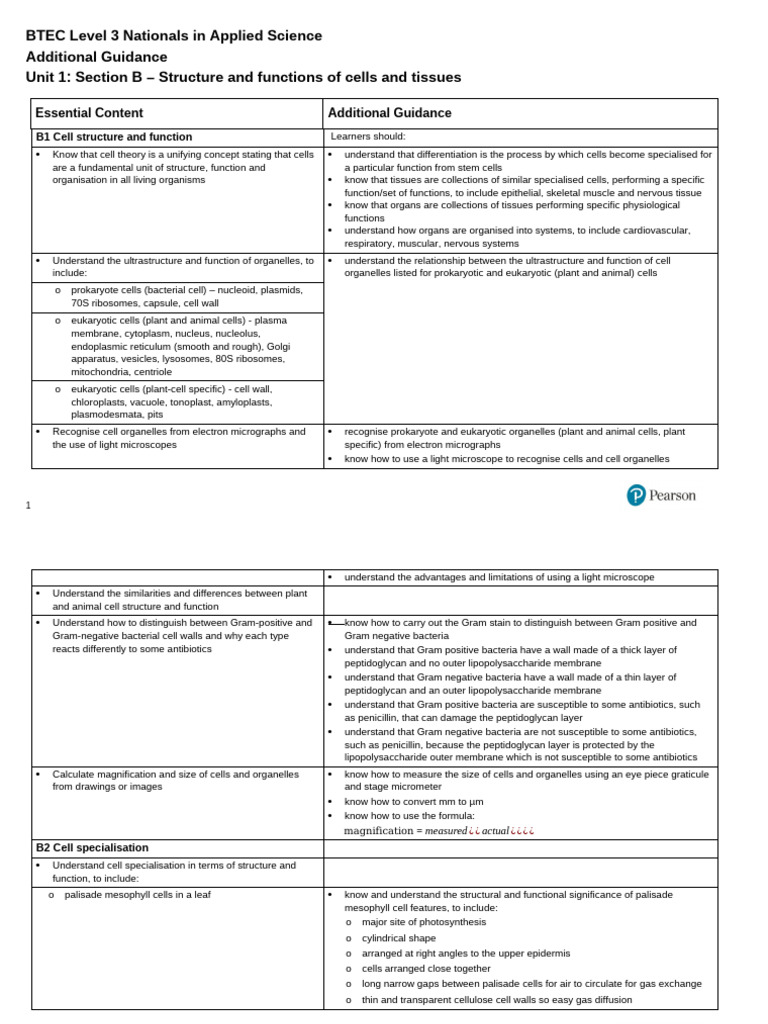 Cell and Tissue Structure in Biology | PDF | Neurotransmitter ...