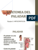 Anatomia Del Paladar (Foro)