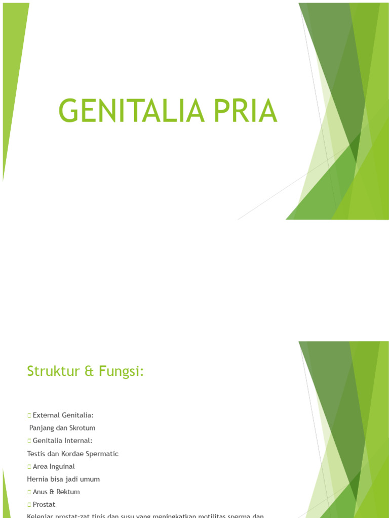 Struktur dan Pemeriksaan Genitalia Pria | PDF
