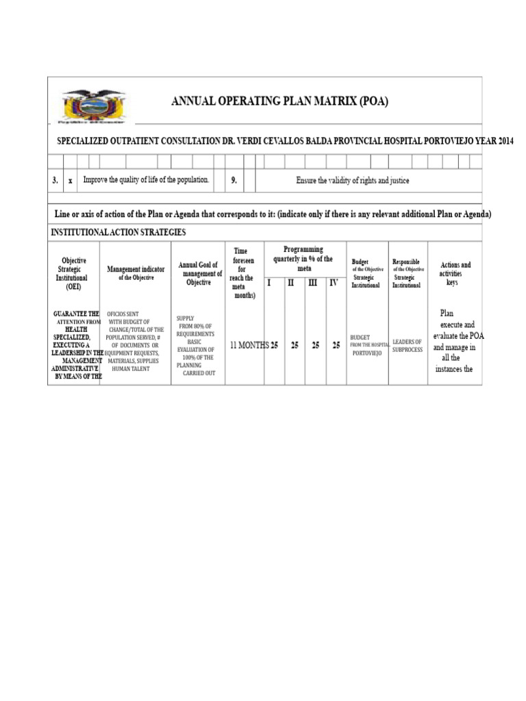 Annual Operating Plan for Hospital 2014 | PDF | Business | Health Care