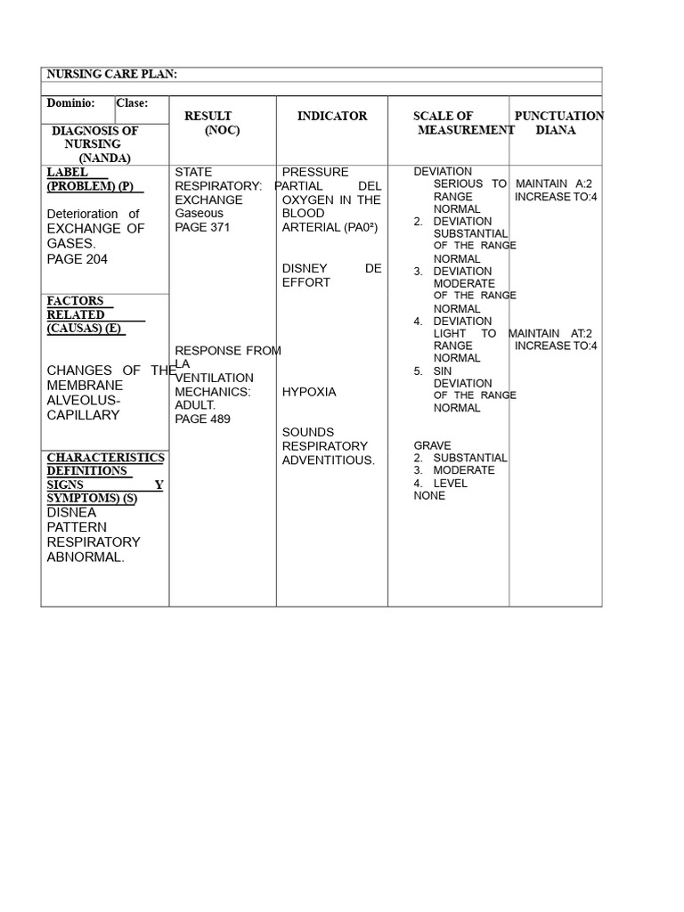 Nursing Care Plan for Respiratory Issues | PDF | Respiratory System ...