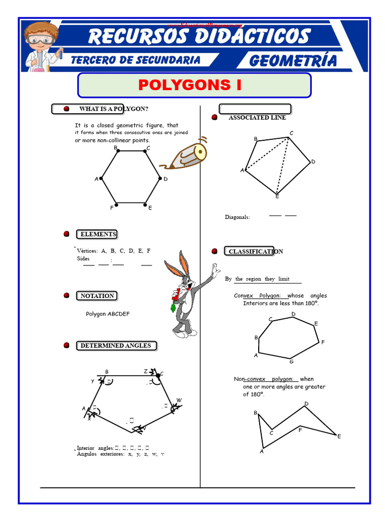 Understanding Polygons: Types and Properties | PDF | Polygon | Polytopes