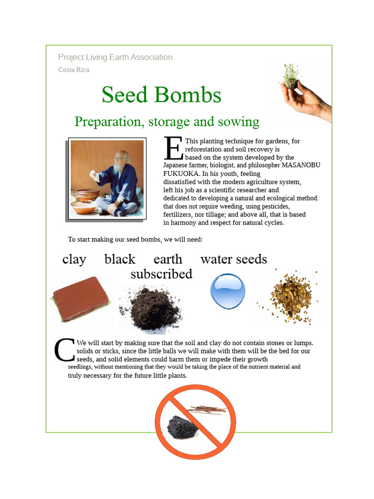 Seed Bombs for Eco-Friendly Gardening | PDF | Seed | Soil