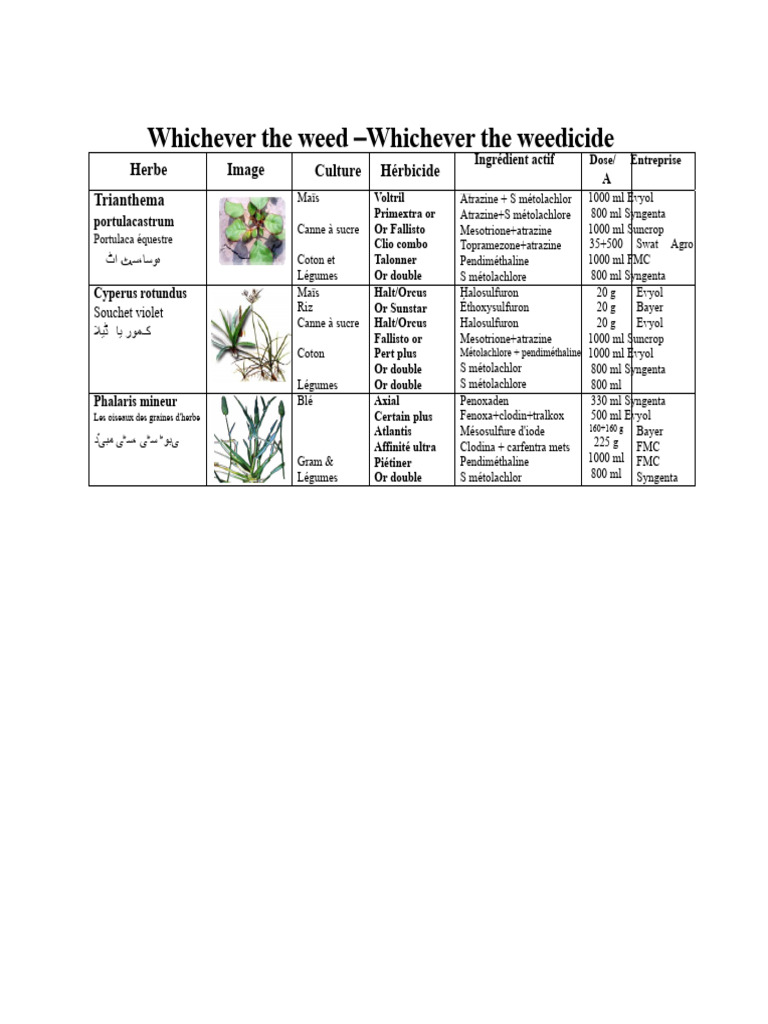 Herbicides et cultures : Guide complet | PDF | Herbicide | Agriculture
