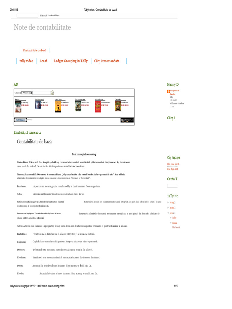 Tally Note - Contabilitate de Bază | PDF