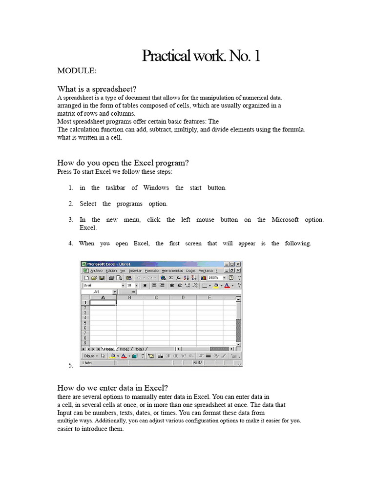 Introduction to Excel Spreadsheets | PDF