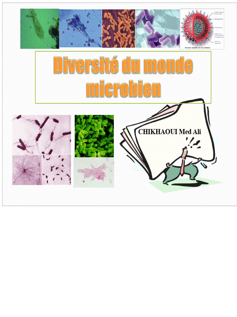 Understanding Microorganisms and Their Impact | PDF | Microorganism ...
