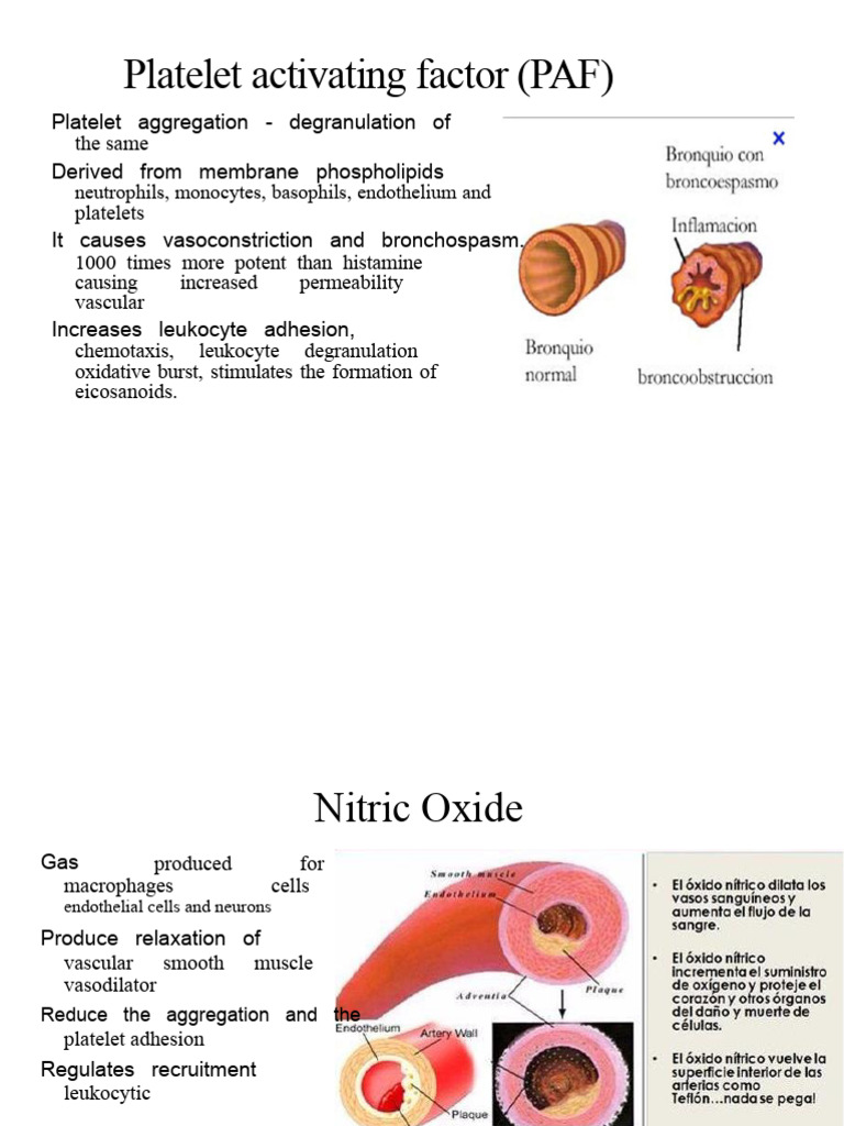 Platelet Activating Factor (PAF) | PDF | Inflammation | Macrophage