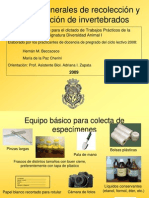 Métodos para La Colecta y Conservación de Invertebrados PDF