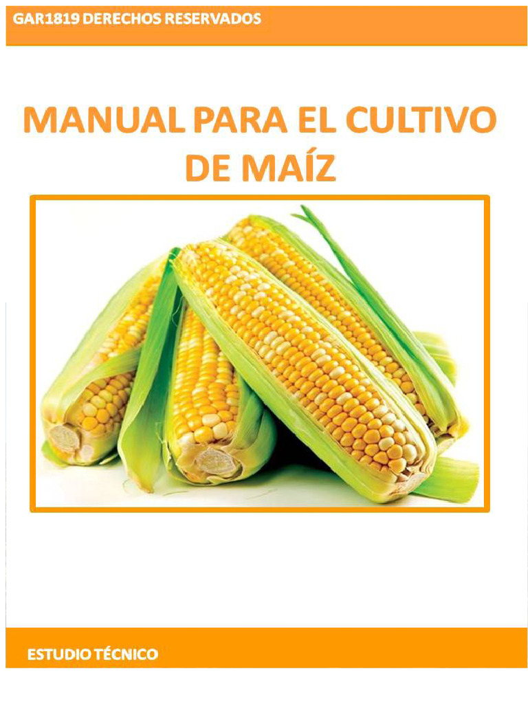 Corn Production Guide: Best Practices | PDF | Sowing | Herbicide
