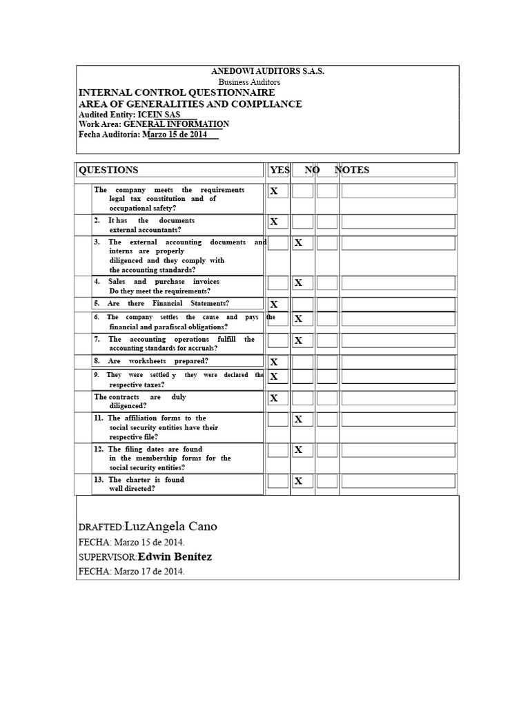 Internal Control Audit for ICEIN S.A.S. | PDF | Audit | Internal Control