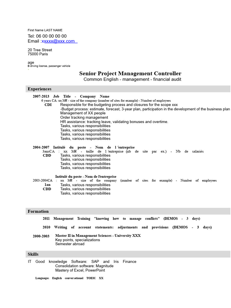 Example of Senior Management Controller CV | PDF | Business