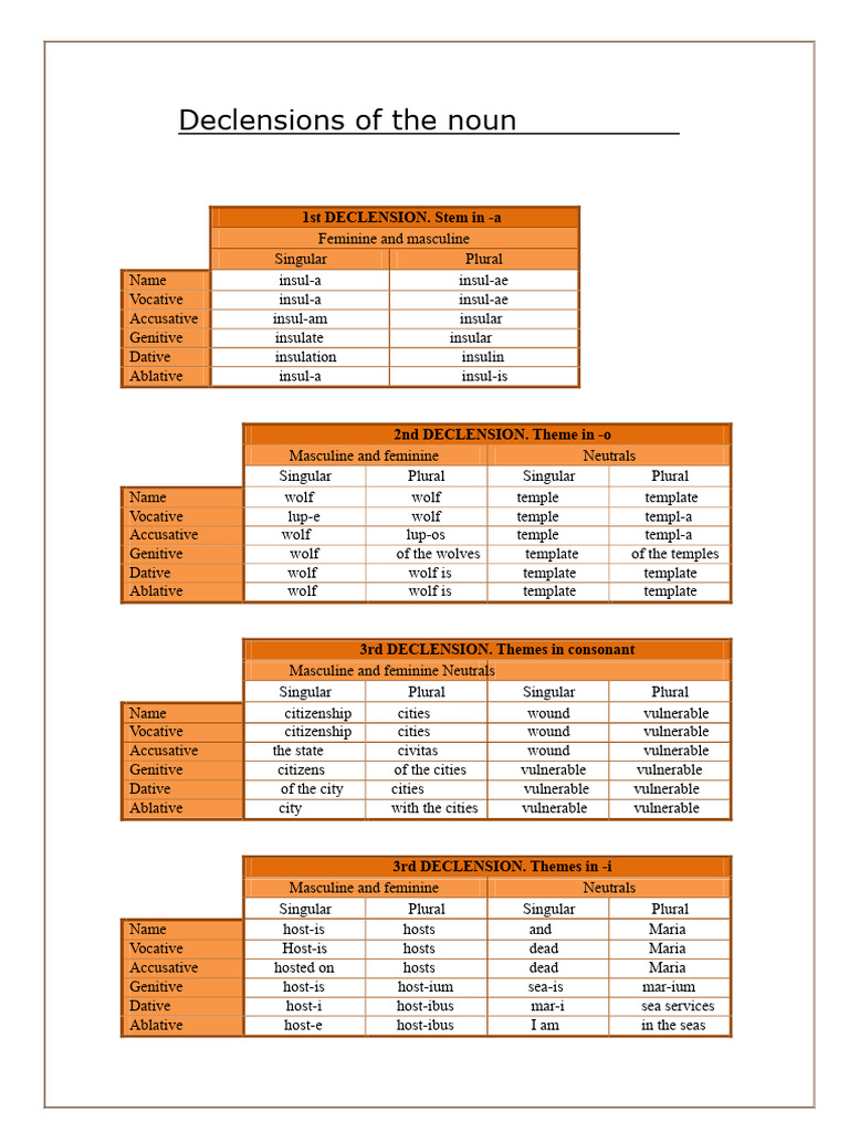 Latin Noun Declensions Guide | PDF | Grammar | Linguistic Typology