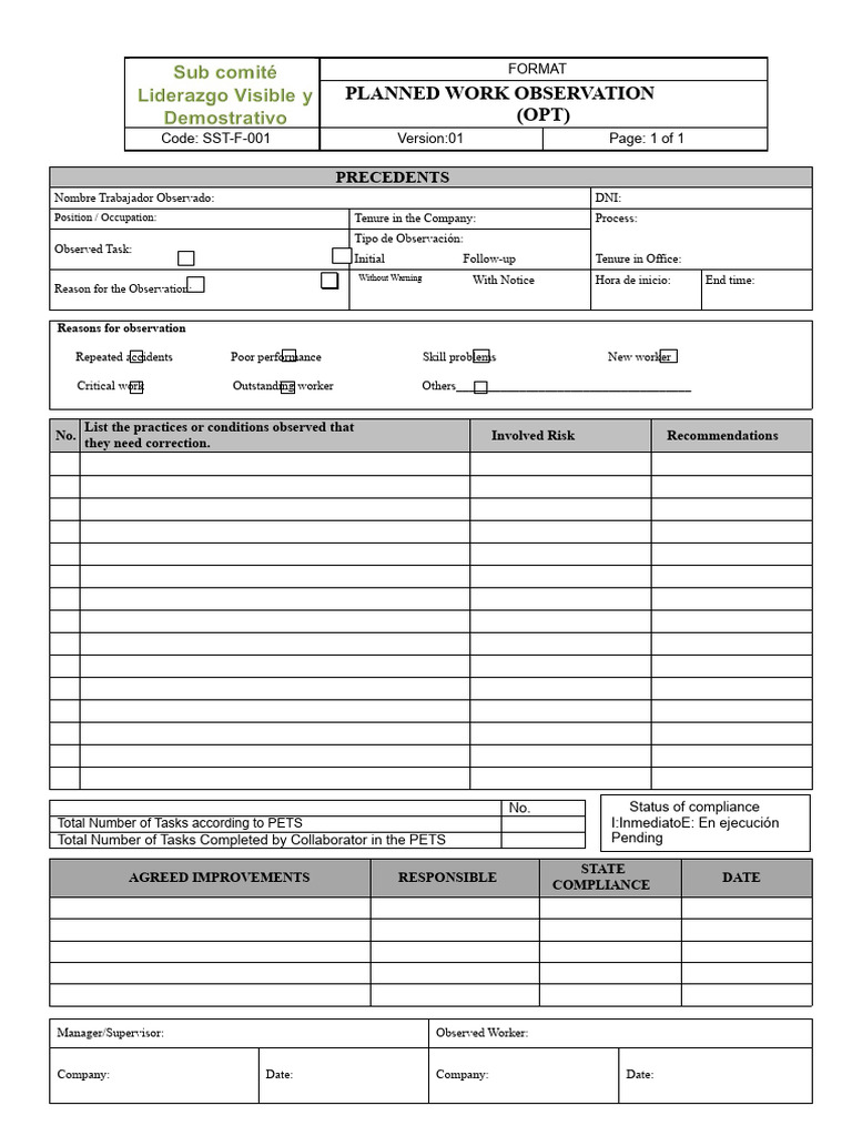 Planned Work Observation Template | PDF