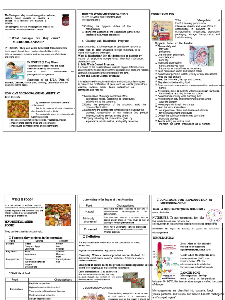 Hygienic Food Handling Triptych | PDF | Foods | Hygiene