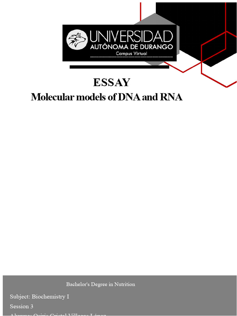 DNA and RNA Molecular Models Explained | PDF | Dna | Rna