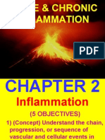 4.acute Inflammation