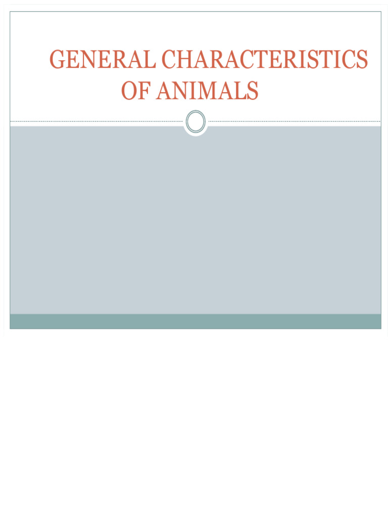 Overview of Animal Characteristics and Phyla | PDF | Anatomical Terms ...