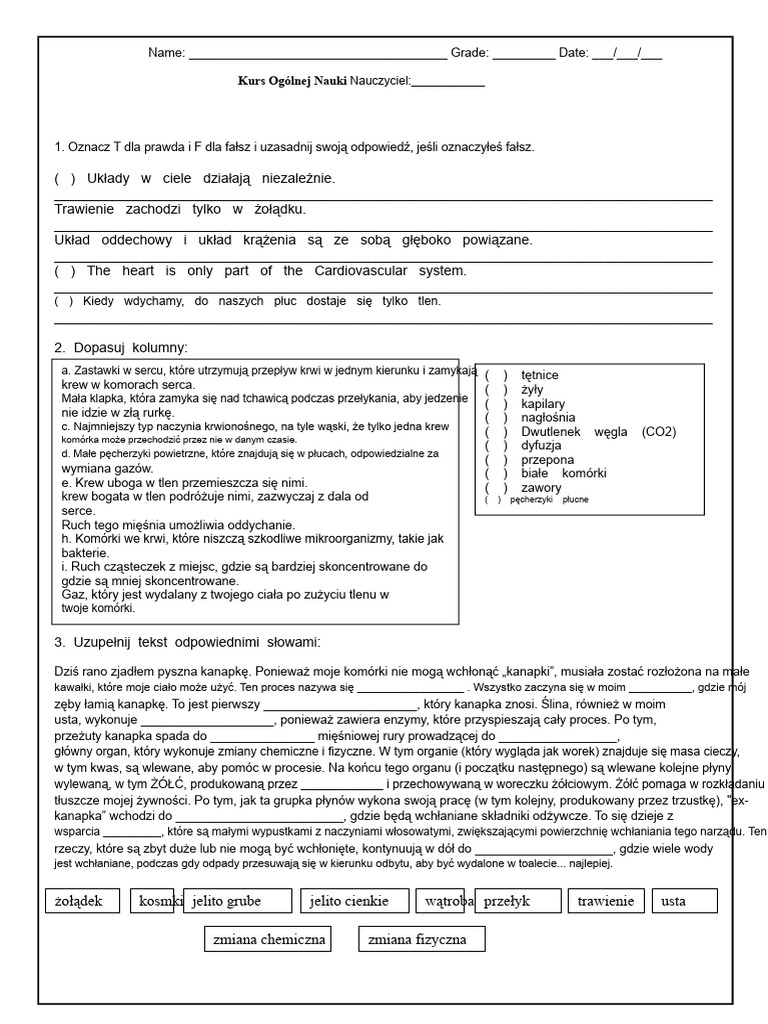 Test Z Ciała Ludzkiego Dla 7 Klasy | PDF