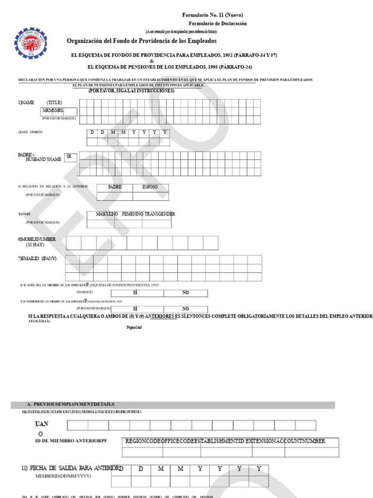 Formulario 11 Revisado | PDF