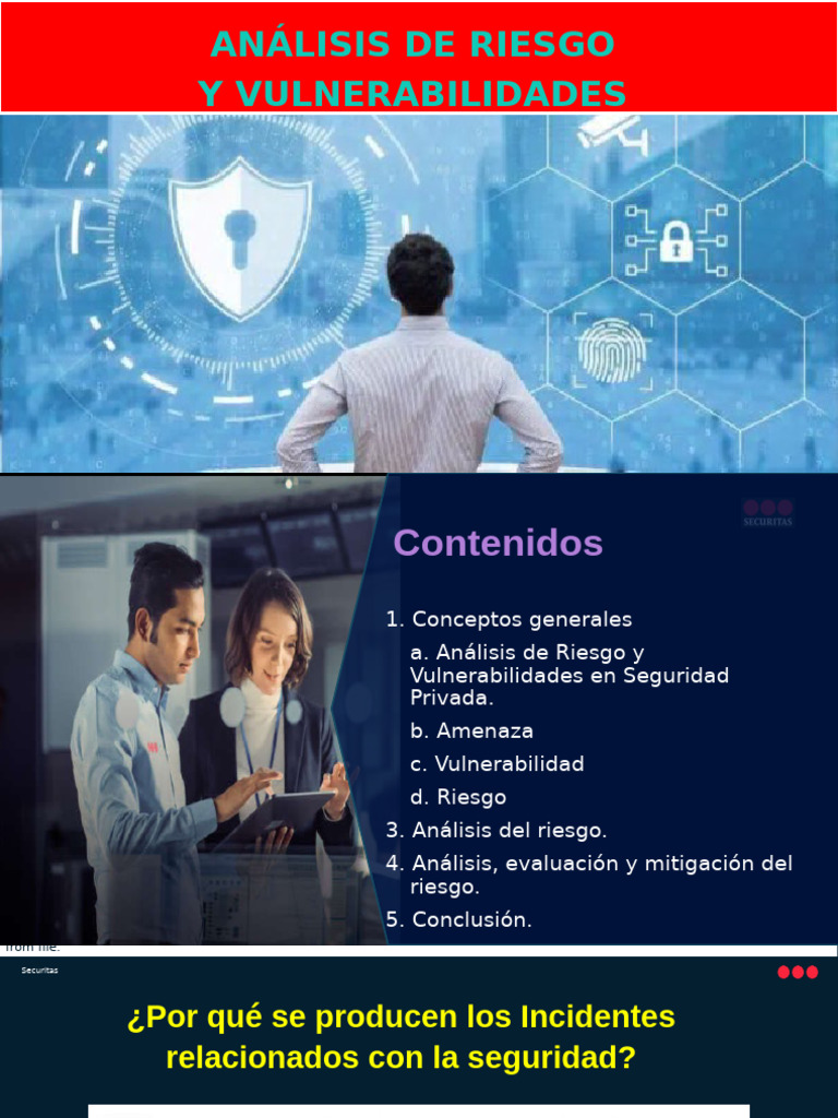 Análisis de Riesgos en Seguridad Privada | PDF | Riesgo | Valores