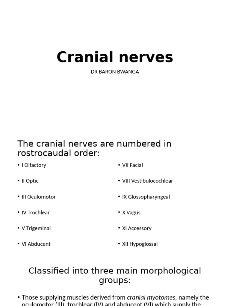 Overview of Cranial Nerves and Functions | PDF | Visual System | Retina