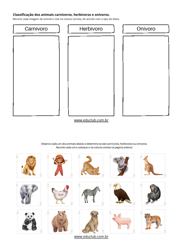 Classificação de Animais por Dieta | PDF