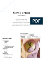 Nervio Óptico