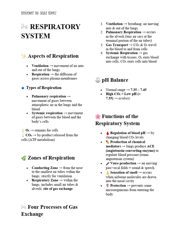 Respiratory System Reviewer by S.G | PDF | Respiratory System | Lung