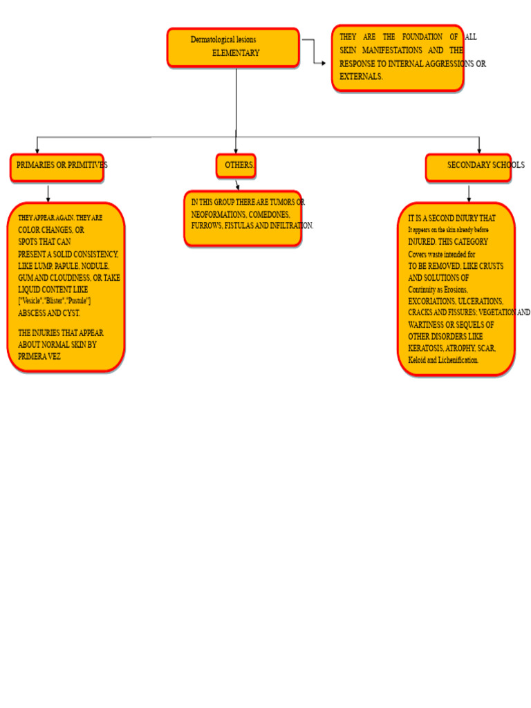 Understanding Dermatological Lesions | PDF | Skin | Cutaneous Conditions