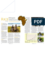 RT Vol. 11, No. 1 Ethiopia's Millennium Crop