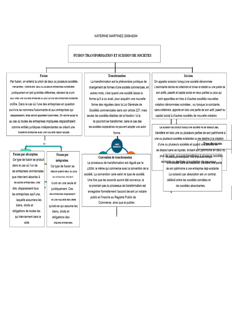 Fusion, Transformation et Scission d'Entreprises | PDF | Business