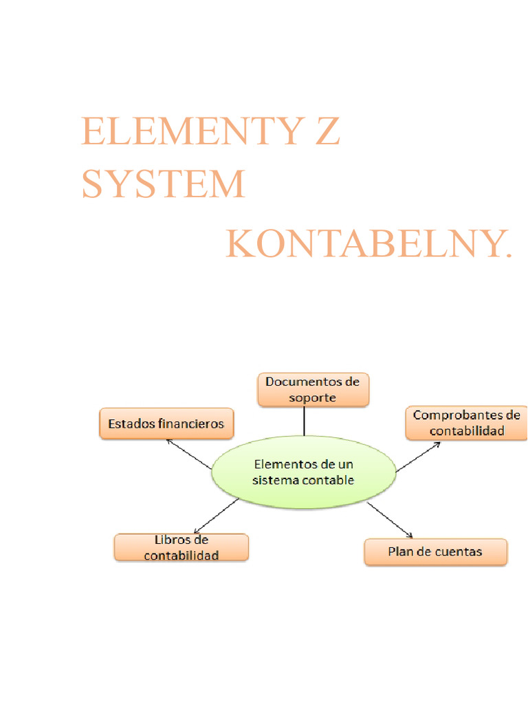 Elementy Systemu Księgowego | PDF