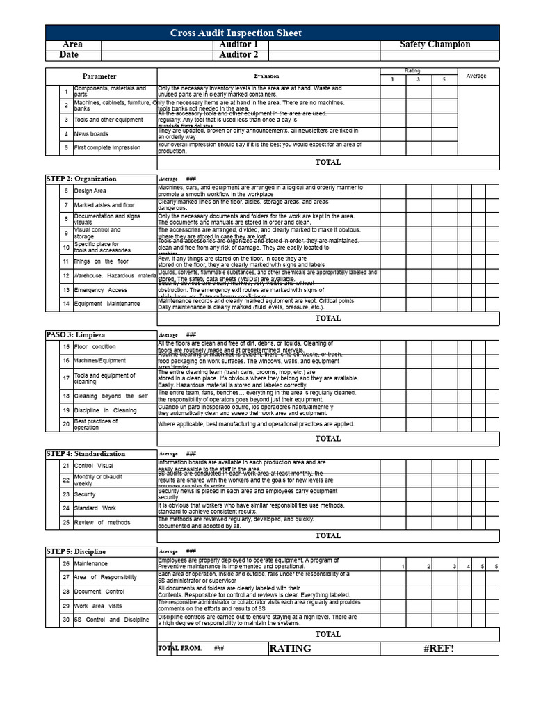 Cross Audit Inspection Overview | PDF | Computer File