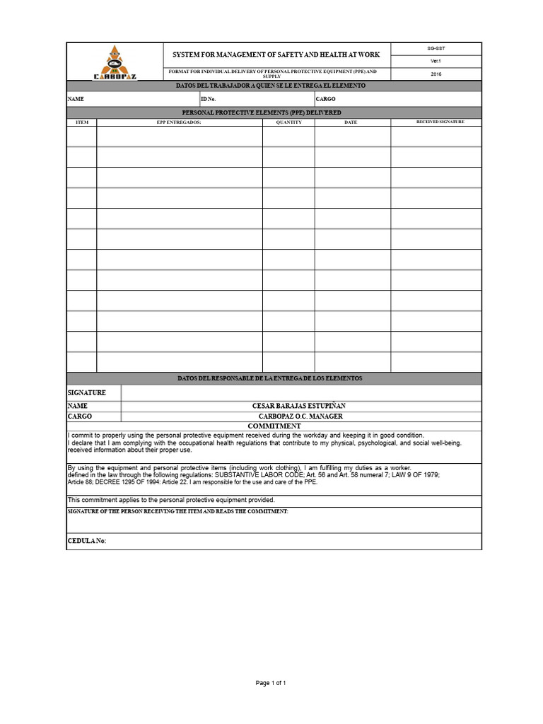 Format-For Individual Delivery of Personal Protective Equipment (Ppe) | PDF