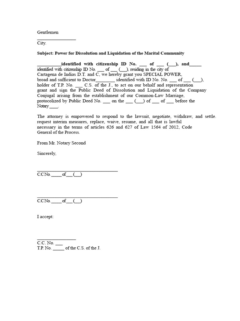 Power For Dissolution and Liquidation of The Marital Partnership | PDF