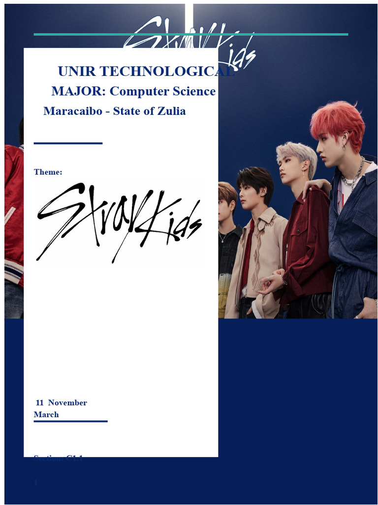 Report on Stray Kids | PDF
