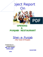 Rohan Jain's Sher-E-Punjab Project