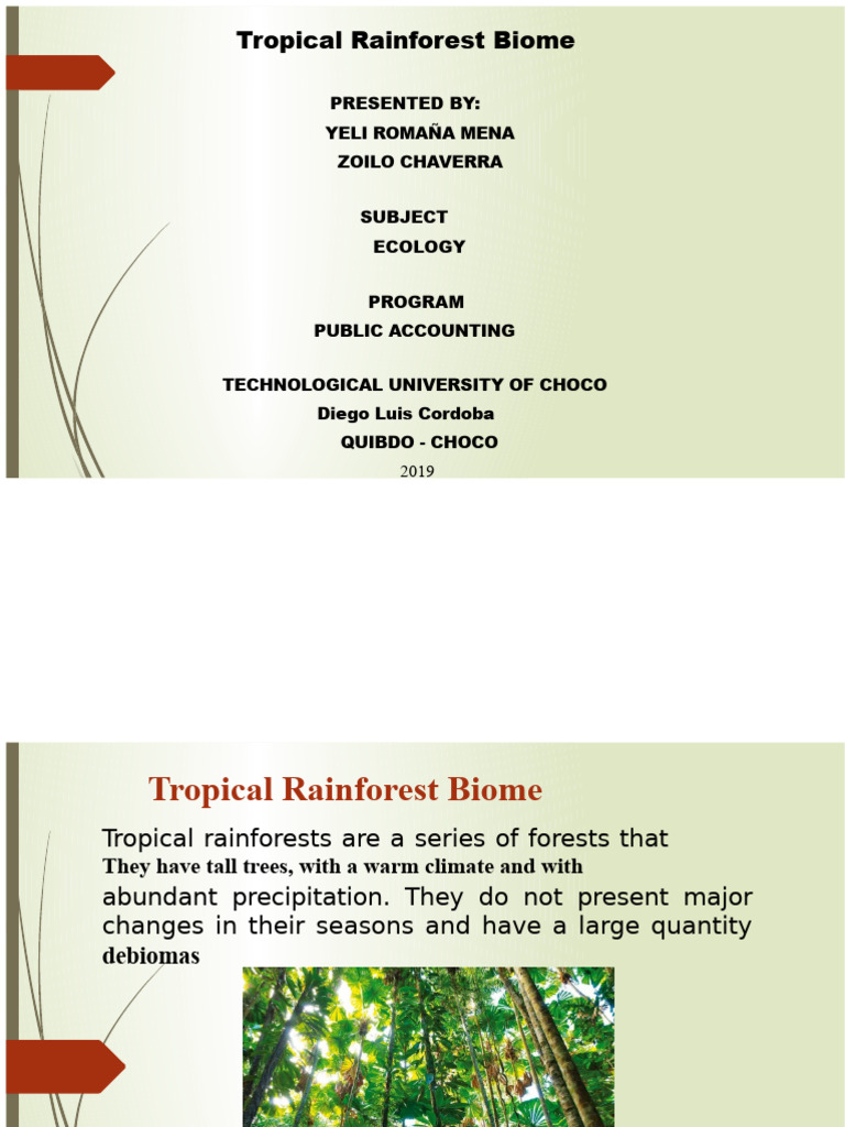 Tropical Rainforest Biome Overview | PDF | Rainforest | Tropics