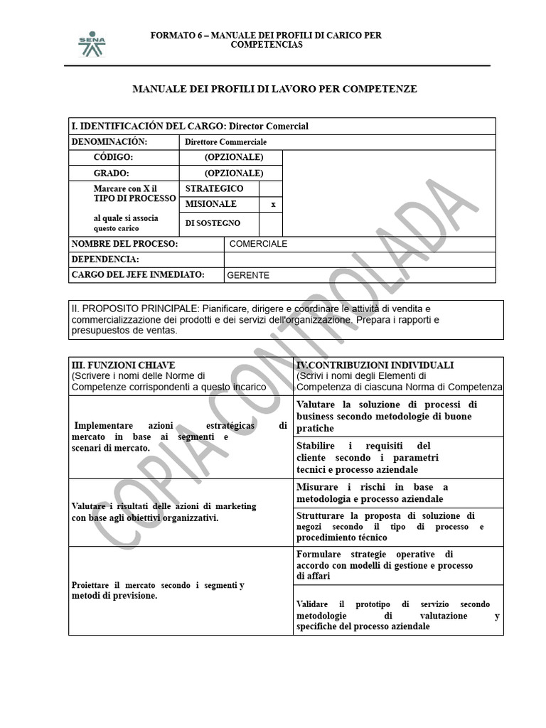 Manuale Del Profilo Del Ruolo Direttore Commerciale | PDF