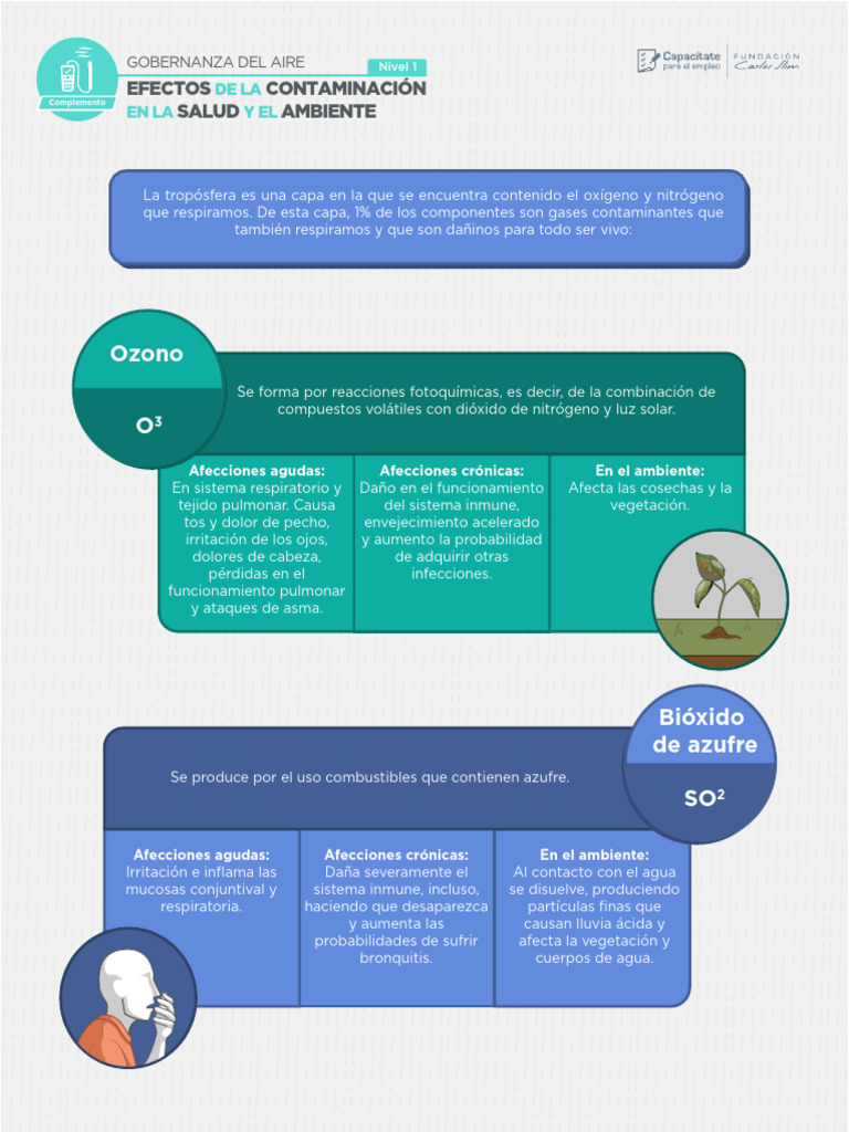 Efectos de La Contaminación en La Salud y El Ambiente | PDF ...